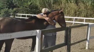 Kalan tek atına sarılıp ağladı