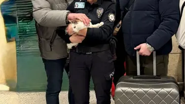 Kedisini aracına kitleyip yurt dışına gitmiş