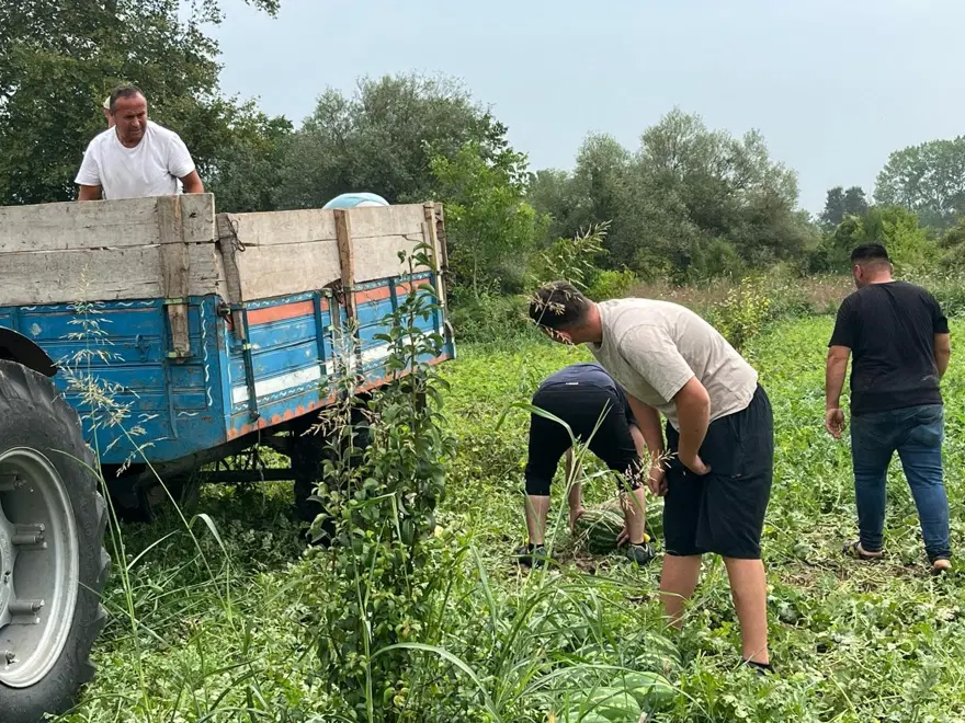 Baba mesleğini bıraktı: 25 yıldır toprağa emek veriyor 4