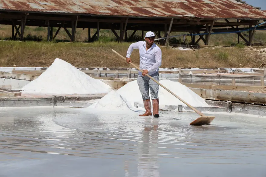 Yerin 7 metre altından çıkarılıyor: Beyaz altın hasadı başladı, içinde 84 mineral var 3