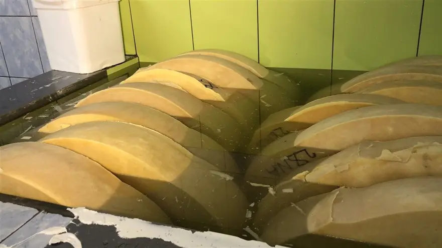 Kars'ta dünyaca ünlü gravyer peynirinin üretimine başlandı 5