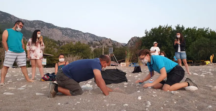 DİĞER YUVALAMA ALANLARI 7 DİĞER YUVALAMA ALANLARI 7