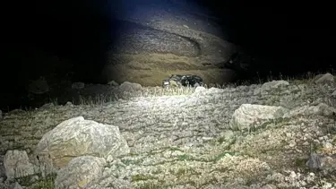 Erzincan'da otomobil şarampole devrildi: 1 kişi öldü
