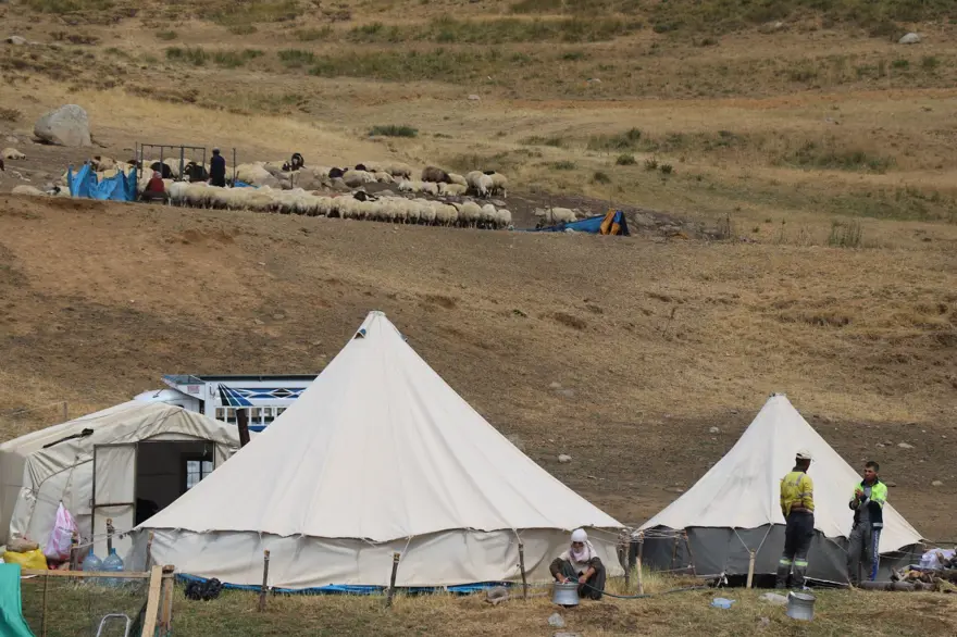 Tescilli Erzincan tulum peynirinin yayladan sofraya yolculuğu 3