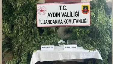 Aydın'da uyuşturucu operasyonu: Bir kişi gözaltında
