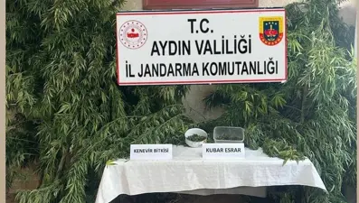 Aydın'da uyuşturucu operasyonu: Bir kişi gözaltında