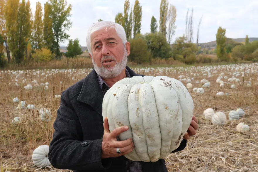 "15-20 LİRA ARASINDA" 3