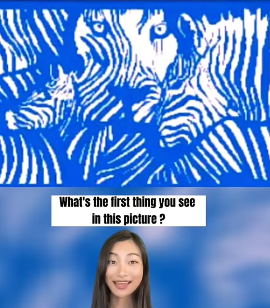 CEVAPLAR 26 CEVAPLAR 26