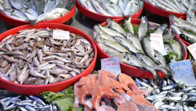 Mevsimin en lezzetli balıkları: Tezgahlar dolu, herkesin yüzü güldü