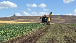 Sivas’ta ihracat arttı