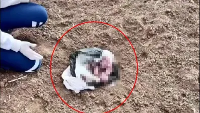 Poşet içerisinde yeni doğmuş kız bebek cesedi bulundu