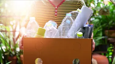 Bitkisel bazlı plastikler aktivistlerin iddia ettiğinin aksine doğada çözülmüyor