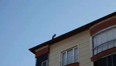 Ahlat'ta intihar girişimi