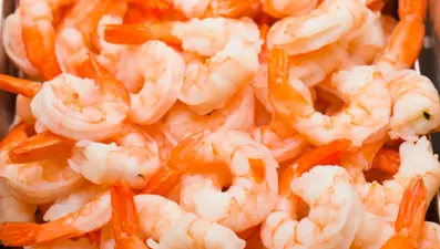 Karideslerde ölümcül radyoaktif alarmı: Hepsi toplatılıyor