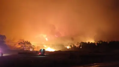 Bursa'da orman yangını: Kısmen kontrol altına alındı