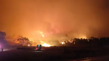 Bursa'da orman yangını: Kısmen kontrol altına alındı