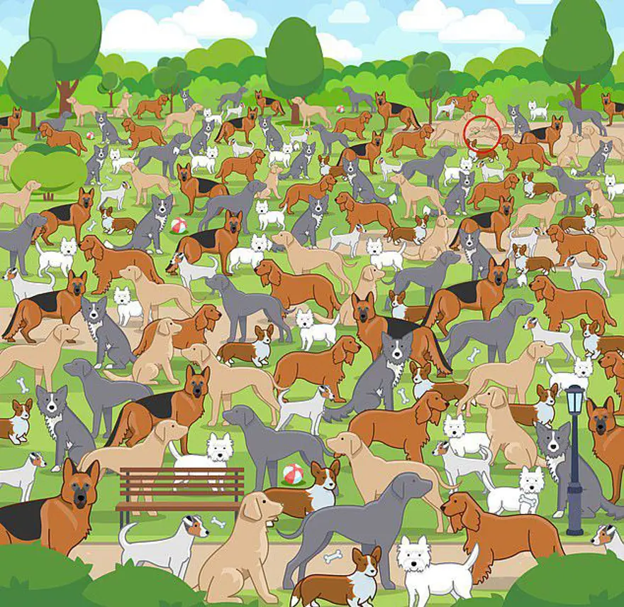 Kafa karıştıran zeka sorusu sosyal medyada gündem oldu: İnsanların yüzde 90'ı çözemiyor! 73 Kafa karıştıran zeka sorusu sosyal medyada gündem oldu: İnsanların yüzde 90'ı çözemiyor! 73