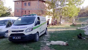 80 yaşındaki adam yengesini vurduktan sonra intihar etti