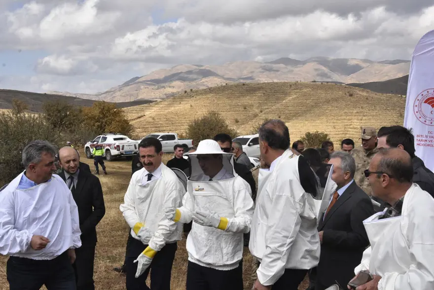 Ünü dünyanın dilinde, hasadı başladı: Türkiye'de ilk sırada 2
