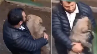 Köpeğini kurtarmak için dereye girdi! İkisi de mahsur kaldı