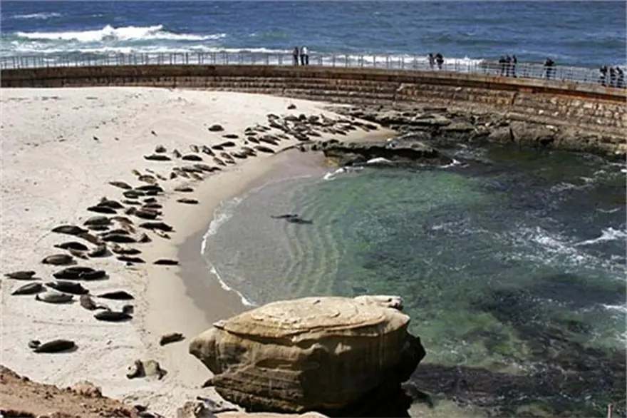 Children's Pool 8 Children's Pool 8