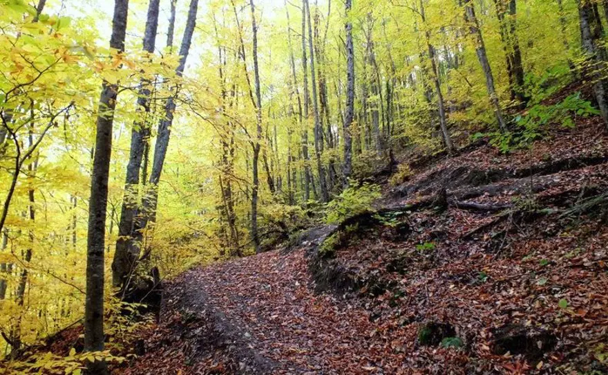 milli park, ülkemizdeki milli parklar, türkiye milli parklar, türkiye'nin milli parkları, türkiye milli parklar listesi, türkiyedeki milli parklar 2022, türkiye'deki milli parklar haritası 66