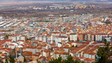 Kütahya'da ahır ve samanlık yangınında 3 küçükbaş hayvan telef oldu