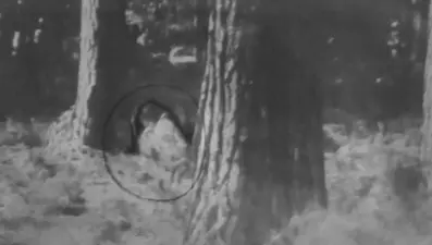 İngiltere'de 42 yıl sonra 'kara gözlü kız' yeniden ortaya çıktı iddiası