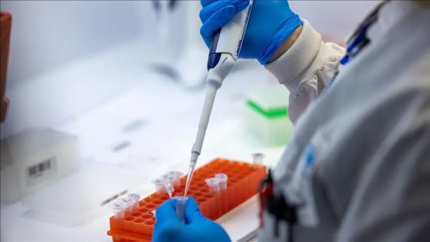 MAYMUN ÇİÇEĞİ (MPOX) VİRÜSÜ HANGİ HAYVANLARDAN BULAŞIR? 4