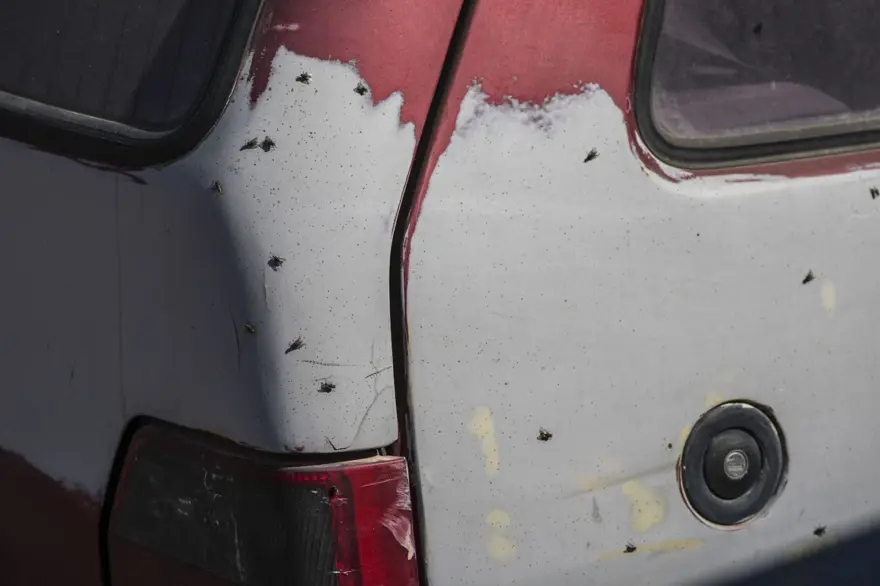 İŞÇİLER GREVDE 6 İŞÇİLER GREVDE 6