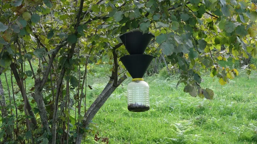 "KITLIĞA AZ KALDI" 6