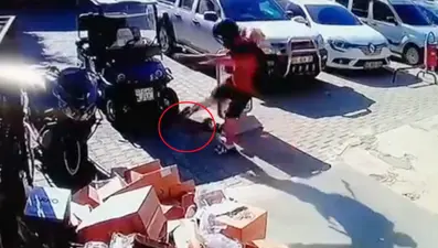 Antalya'da kediyi tekmeleyen kişi tutuklandı