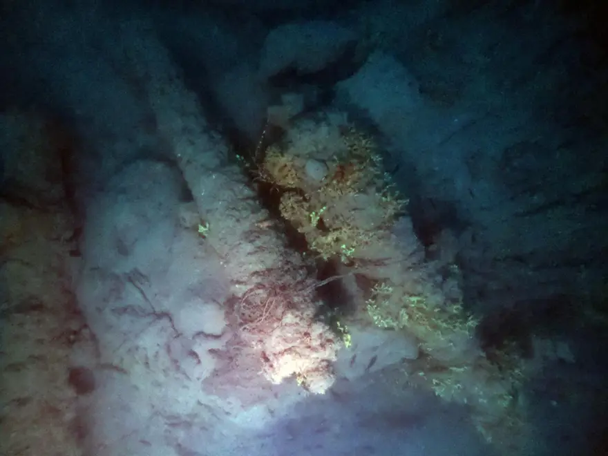 Foça açıklarında savaş gemisi batığı bulundu 2