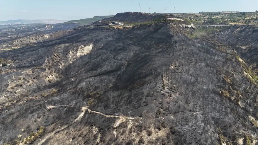 Çanakkale'de geriye bu acı tablo kaldı 1 Çanakkale'de geriye bu acı tablo kaldı 1