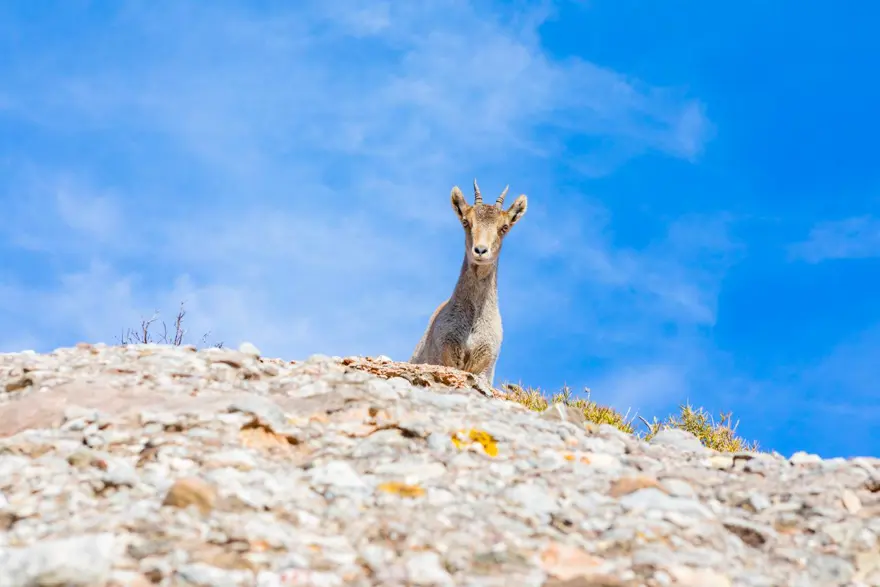 Karayip adasından Covid-19 önlemi: Yılda 607 bin kazanmayan giremez 8 Karayip adasından Covid-19 önlemi: Yılda 607 bin kazanmayan giremez 8