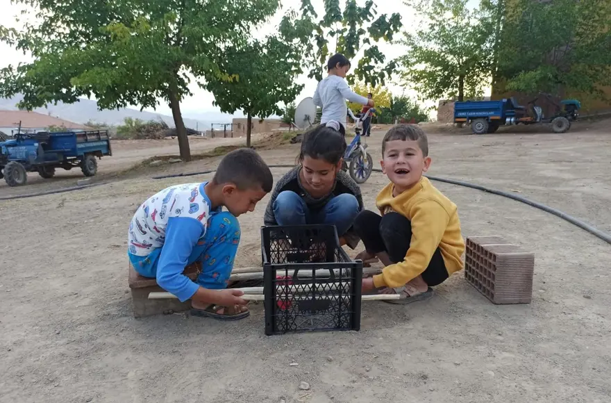 Meyve kasasından langırt, cevizden top 6 Meyve kasasından langırt, cevizden top 6