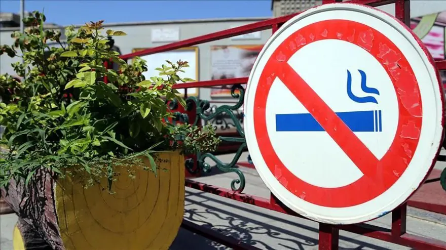 "15 YAŞ VE ÜZERİ NÜFUSUN YAKLAŞIK YÜZDE 28-30'U DÜZENLİ OLARAK SİGATA İÇMEKTEDİR" 3