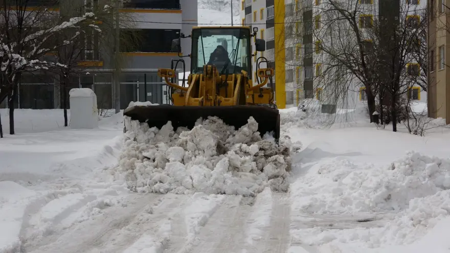 ERZURUM VE AĞRI 1