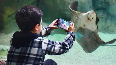 Trabzon Akvaryum'a ziyaretçi akını