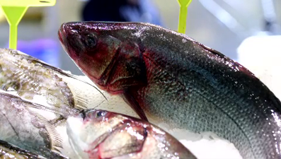 Tam Zamanı... Bu mevsimde hangi balıklar tüketilmeli?