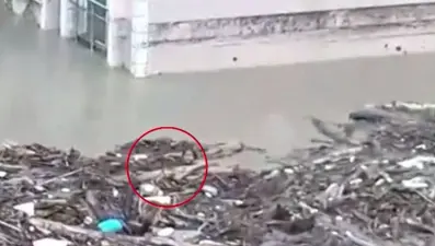 Selde can pazarı: Gözden kayboldu