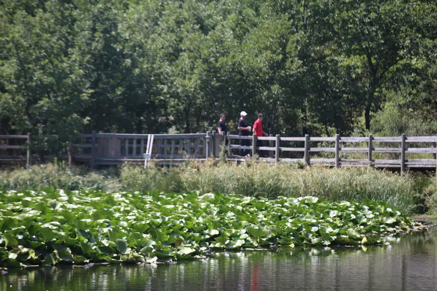 Kuraklık Nilüfer Gölü'nü de vurdu: 10 ton su kararı 3 Kuraklık Nilüfer Gölü'nü de vurdu: 10 ton su kararı 3