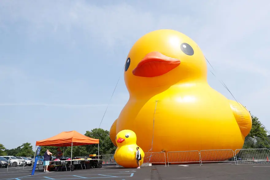 Dünyanın en büyük lastik ördeği New York'ta sergileniyor 4