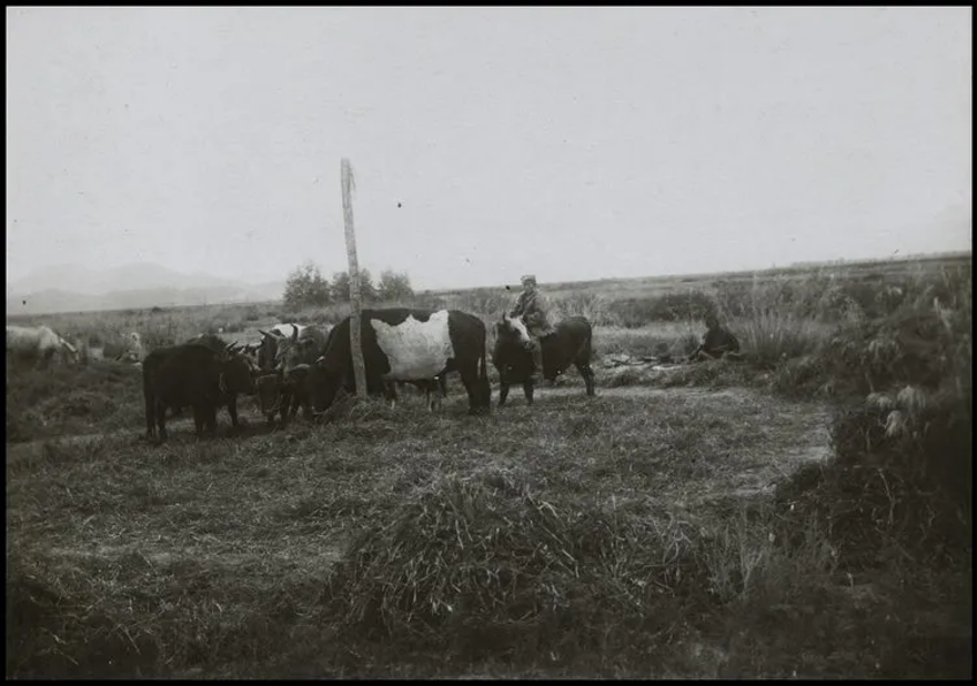 Bilim kurgu değil Türk boylarının 111 yıllık fotoğrafları. Gizemli heykeller, gelişmiş aletler, tanıdık kıyafetler (106 fotoğrafla gizemli Türk tarihi) 94