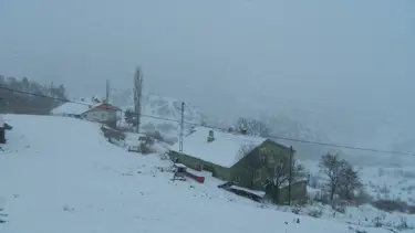Ardahan'da kar yağışı ve sis etkili oluyor