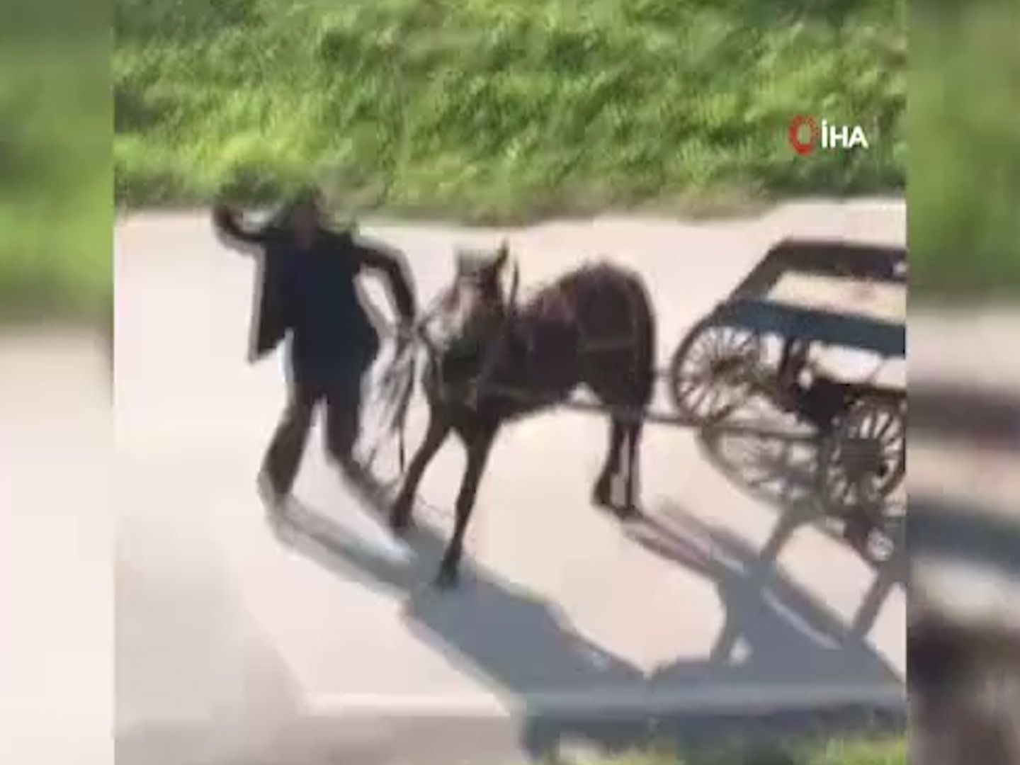 Yükü çekemeyen atı böyle kırbaçladı