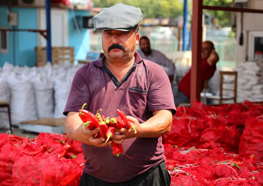 Adana'da salça sezonu başladı: Çatılar kırmızıya boyandı 8