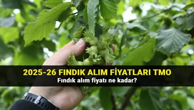 2025 fındık alım fiyatları belli oldu