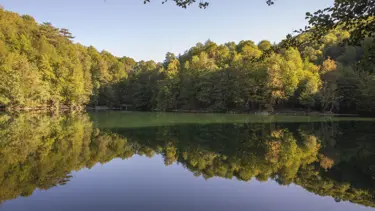 Yedigöller'de sonbahar güzelliği: Eşsiz doğası hayran bırakıyor