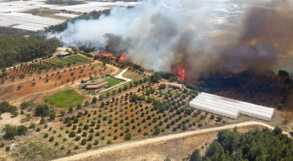 Antalya'da orman yangını